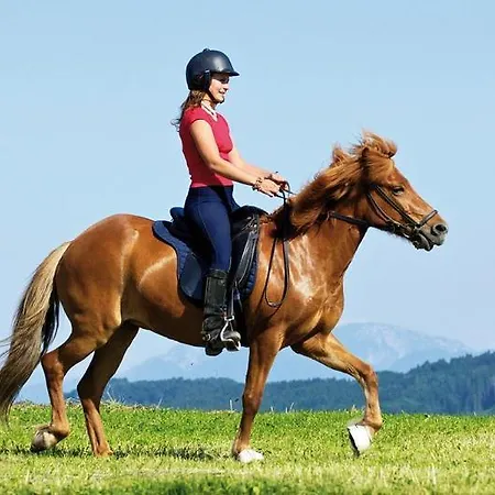 Hotel Relax Kreischberg 4*