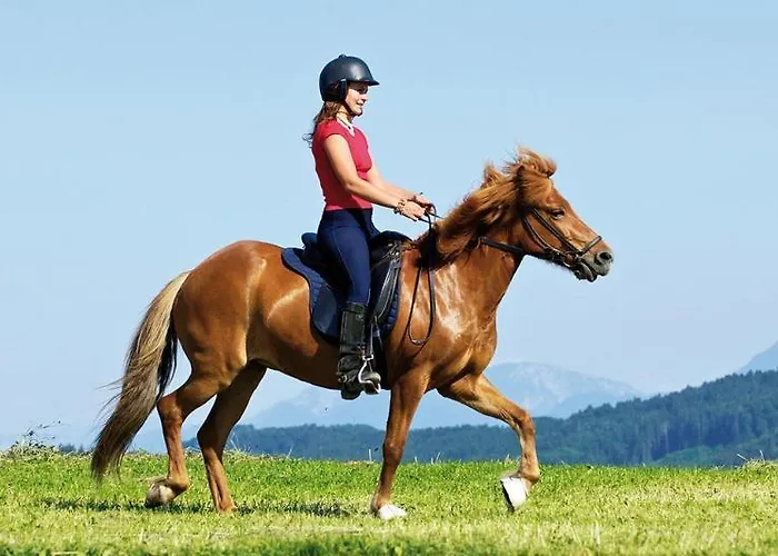 Hotel Relax Kreischberg 4*